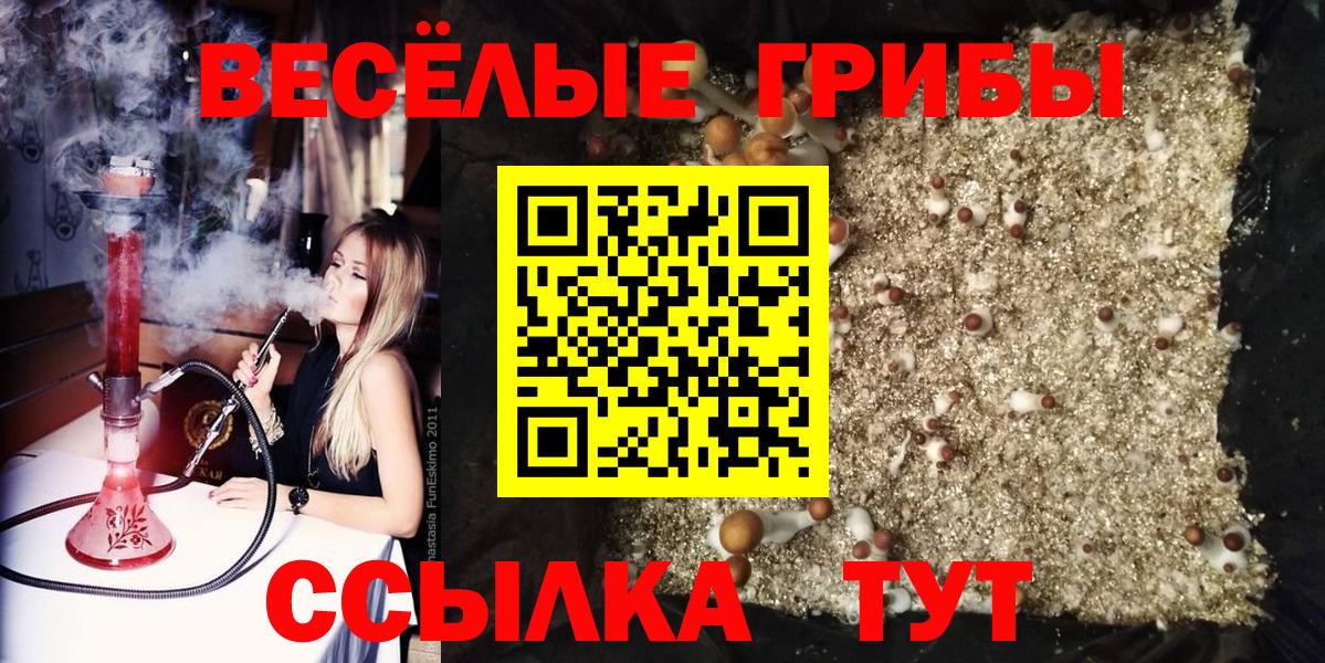 Псилоцибиновые грибы GOLDEN TEACHER  Вход с VPN  Псилоцибиновые грибы GOLDEN TEACHER  Советский 